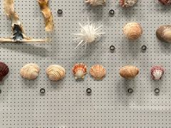 -四川大学博物馆