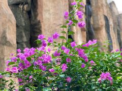 -忆江南·临江鱼馆