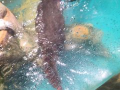 -杭州野生动物世界