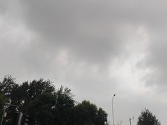 -桃花堤公园