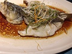 清蒸鲈鱼-柴米油盐三杯鸡(象山北路店)