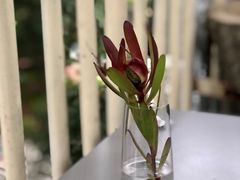 -Ginger(兴国路店)