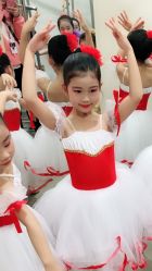 -昕艺尚皇家芭蕾舞蹈中心