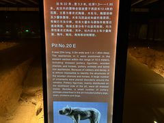 -汉景帝阳陵博物院