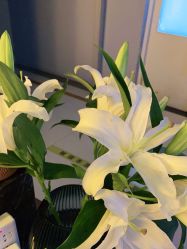 -FineYoga梵音瑜伽·普拉提