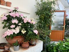 -AHAVA·Fang Baking Studio