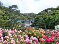 -清凉寺