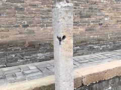 -常家庄园