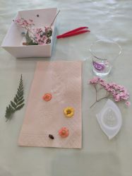 -保丽宝泰母婴护理院·月子中心·产康·中医(常州店)