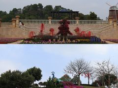 -东莞植物园