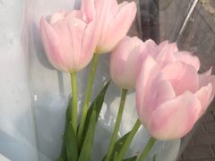 -三旗百汇商品城