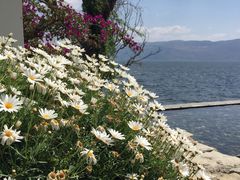 -大理无舍度假酒店