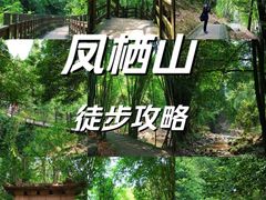 -凤栖山