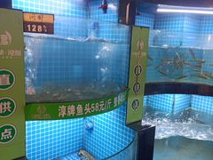 -千岛湖小鱼儿·淳安匠心农家菜