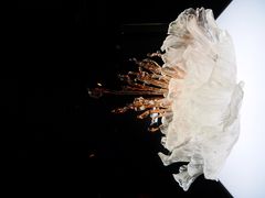 上海琉璃艺术博物馆-上海琉璃艺术博物馆
