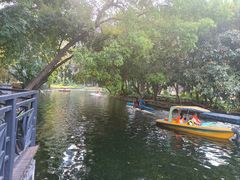 -晓港公园