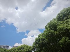 -新洲生态园