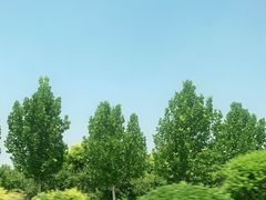 -武清南湖绿博园