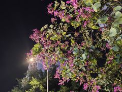 -福屿鲜捞小吃·捞化(福屿总店)