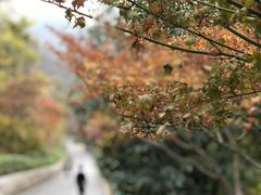 -幕燕滨江·长江观音景区