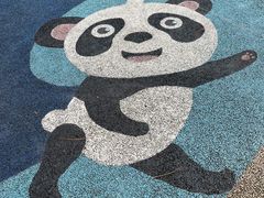 -安吉竹博园