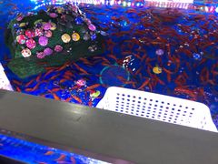 -大玩家(拱墅万达店)