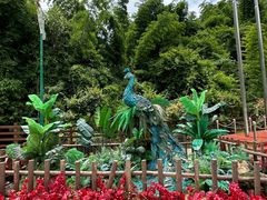 -西双版纳原始森林公园