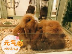 -龙猫仔乐园(惠福东路店)