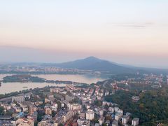 -紫峰大厦