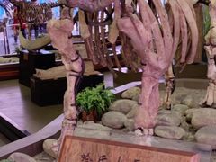 -陕西自然博物馆