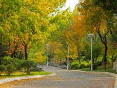 -济南国际园博园