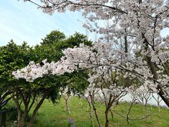 -苏州上方山国家森林公园