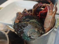 -半岛听涛蒸汽海鲜自助(K11店)