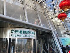 -北京植物园-展览温室
