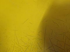 -下村新强记烧鹅店