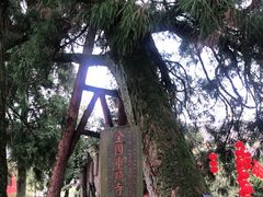 -雪峰寺
