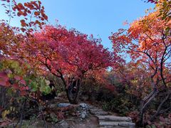 -周口店坡峰岭风景区