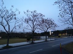 -东华大学(松江校区)