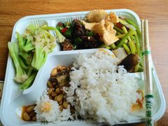 -梦幻奥陶纪景区