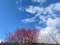 -北五省会馆
