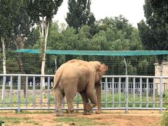 -石家庄市动物园