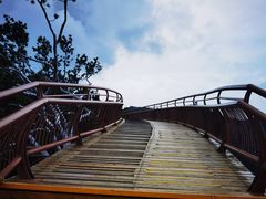 -少华山国家森林公园