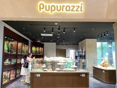 -帕帕拉兹宠物(亚洲旗舰店)