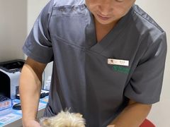-伟伟宠物医院·CT影像中心·瑞派犬猫综合性门诊(汉口总院)