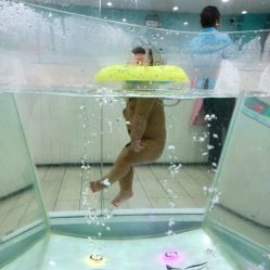 -鱼乐贝贝婴幼儿水育馆(星汇广场店)