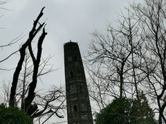 -上海佘山国家森林公园天马山园