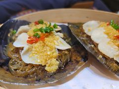 蒜泥粉丝蒸带子-必点海鲜·鲅鱼水饺(鞍山西道店)