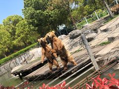 -常州淹城野生动物世界
