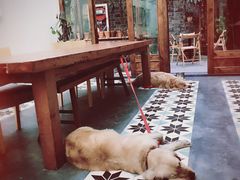 -两棵枇杷树