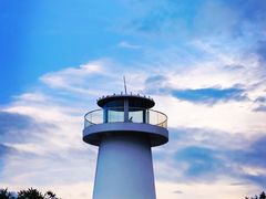 -深圳湾公园(南山区)